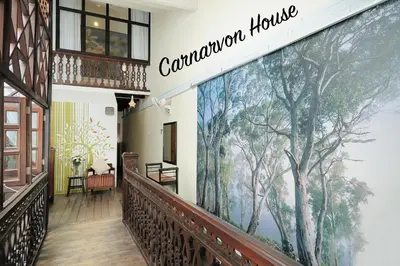 a hallway with a mural of trees on the wall at Carnarvon House in George Town