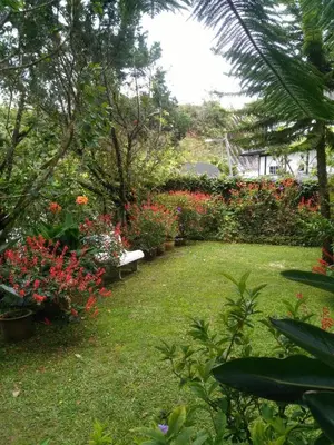 a garden with flowers and a bench in the grass at KRS Pines GuestHouse in Cameron Highlands