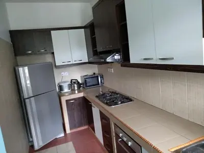 a small kitchen with a stove and a refrigerator at Tenggafriz holidays in Cameron Highlands