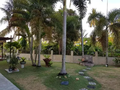 a garden with palm trees and rocks in the grass at Big Garden Homestay in Pantai Remis