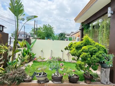 a garden with plants and trees in a yard at Leisure Homestay in Kampong Peruntun