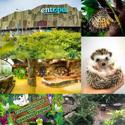 a collage of pictures with a hedgehog in a hedge at 5-BEDROOM FERRINGHI HOUSE with WIFI , NETFLIX , BBQ SET , 5 MINUTES WALK to BEACH in Batu Ferringhi