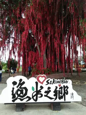 a sign in front of a tree with red vines at COCONUT HOMESTAY Tanjong Karang Sekinchan Kuala Selangor in Kampong Sungai Kajang