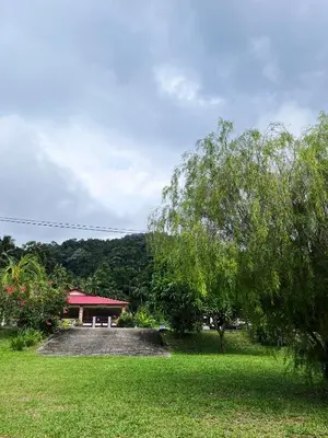a park with a bench and a building with a tree at Purple Cube at Lumut Cube Homestay Kontena in Lumut