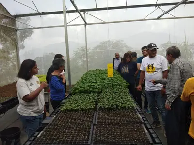 a group of people standing around a table of green plants at Moonriver Lodge in Cameron Highlands