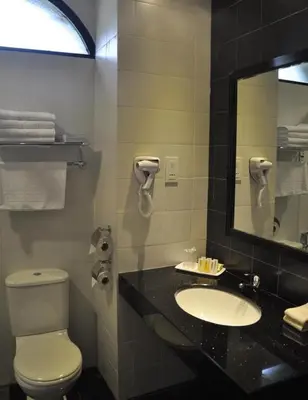 a bathroom with a toilet and a sink and a mirror at Strawberry Park Resort in Cameron Highlands