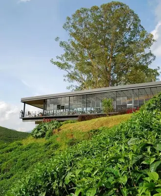 a building on top of a grassy hill at Strawberry Park Resort in Cameron Highlands