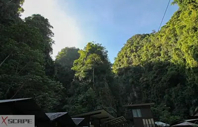 a view of a forested hillside with trees at Xscape Tambun in Ipoh