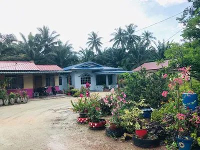 a house with potted plants in front of it at Atocha Homestay - Terong@Taiping in Kampong Salak