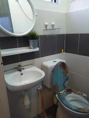 a bathroom with a toilet and a sink and a mirror at Alyaleesya Muslim Homestay in Tanah Rata
