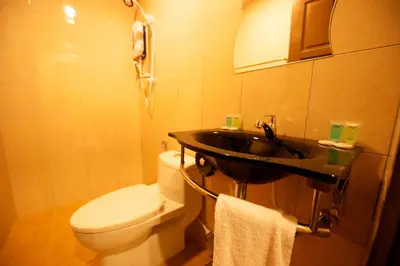 a bathroom with a white toilet and a sink at De Botani Hotel in Ipoh