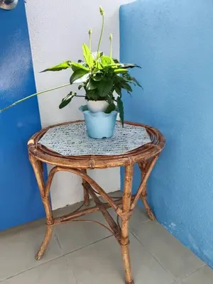 a small wicker table with a potted plant on it at The Cave - Adults Only in Tanah Rata