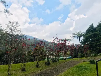 a row of trees with red flowers in a park at MERLIN HOME DESA ANTHURIUM in Tanah Rata