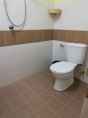 a bathroom with a white toilet and a mirror at Green View Home Cameron Highlands in Brinchang
