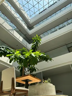 a chair and a plant in a room with a skylight at The Gallivant Hotel in George Town