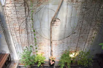 a brick wall with plants in pots on the ground at Frenz Republic - SELF CHECK IN in George Town