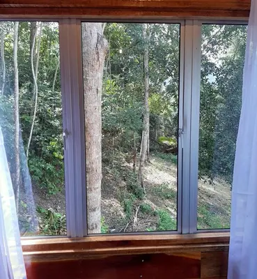 a window with a view of a tree at Utan Teluk Nipah in Pangkor