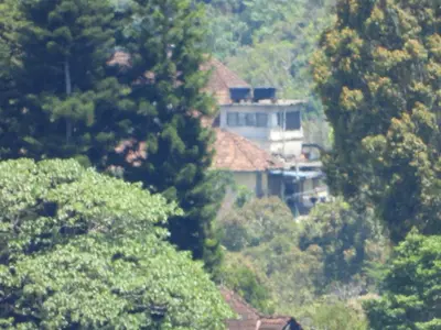 a house in the middle of a forest of trees at Bugdet Apartment in Brinchang