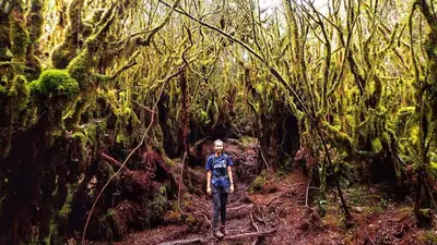 a man walking on a trail in the jungle at The Cocoon Capsule Hotel in Cameron Highlands