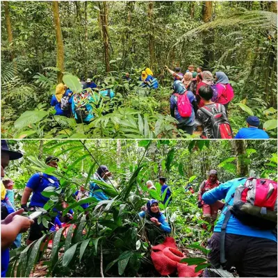 a group of people on a trail in the forest at The Cocoon Capsule Hotel in Cameron Highlands