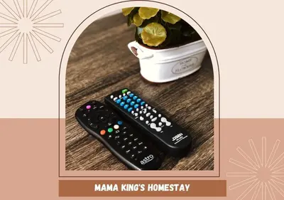 two remote controls sitting next to a potted plant at Mama King’s Homestay@ Palas Horizon in Brinchang