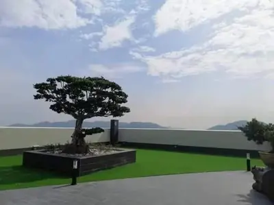a tree in a garden with a green lawn at WL Homestay in Sitiawan