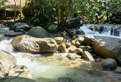 a stream of water with rocks and waterfalls at BUKIT LIMAU REST HOUSE in Taiping