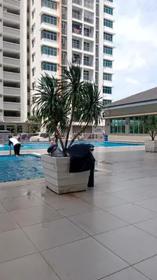 a palm tree in a planter next to a pool at Muslim Apartment at Meru in Ipoh