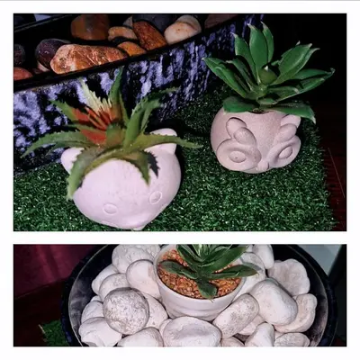 two pictures of plants in pots on a table at HomeStay with Serene Surrounding in Nibung Tebal