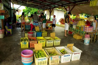 a group of people standing around a market with fruit at Sekinchan 2008 Home：Karaoke/BBQ in Sekincan