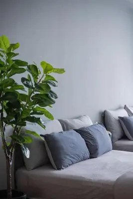 a couch with pillows and a potted plant on it at Deluxe Seaview Suite Twin Bed by The Only Bnb in Tanjong Tokong