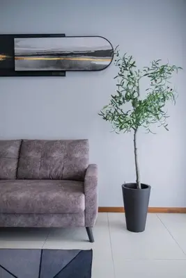 a living room with a couch and a potted plant at Family Seaview Suite with 3 Rooms by The Only Bnb in Tanjong Tokong