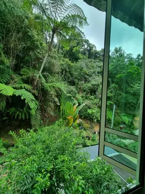 a view of a forest from a window at Highlanders Garden Guesthouse at Arundina Cameron Highlands in Cameron Highlands