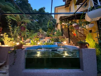 a swimming pool in the middle of a garden at night at Highlanders Garden Guesthouse at Arundina Cameron Highlands in Cameron Highlands