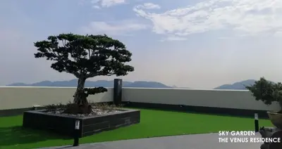 a tree sitting on top of a green lawn at Venus Hollywood Homestay Sitiawan in Seri Manjung