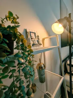a room with a table with a plant and a lamp at Beacon Executive Suites 2BR at Georgetown by WL in George Town