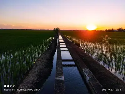 a pathway through a field with the sunset in the background at Purple Pool Villa in Kampong Batu Dua Puloh Tiga