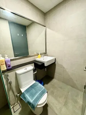 a bathroom with a toilet and a sink and a mirror at Tropicana 218 Macalister by CC in George Town