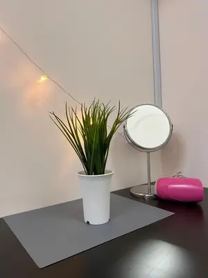 a potted plant sitting on a desk next to a mirror at Room1#IG theme Bargainous#Shared Bathroom#3pax#2min Kek Lok Si in Ayer Itam