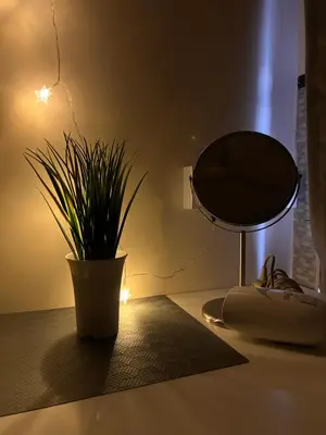 a table with a mirror and a potted plant at Room3#IG theme Bargainous#Shared Bathroom#2pax#2min Kek Lok Si in Ayer Itam