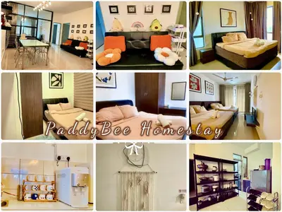 a collage of pictures of a living room at Paddy Bee in Brinchang