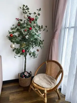 a chair sitting next to a tree next to a window at Muji Homestay @ The Retreat, Cameron Highlands in Cameron Highlands