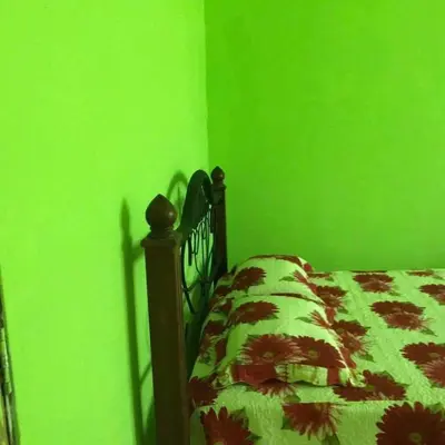 a green bedroom with a bed with a green wall at Hijau Homestay in Sungai Besar